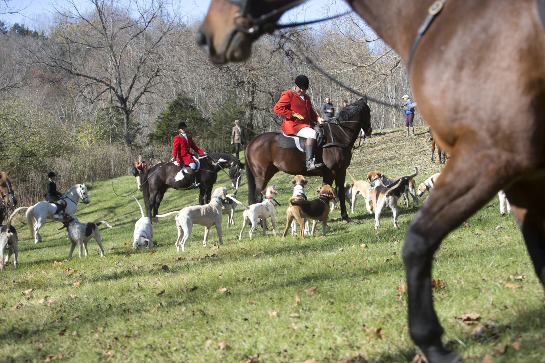 skd RockbridgeHunt 110219 p21
